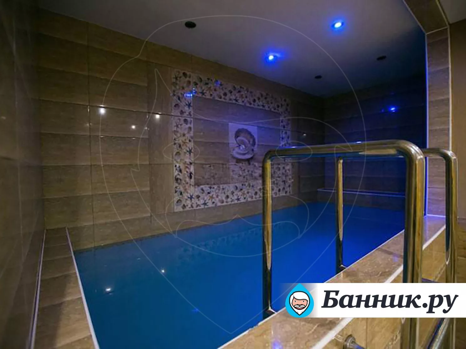 Капитан «Nemo»