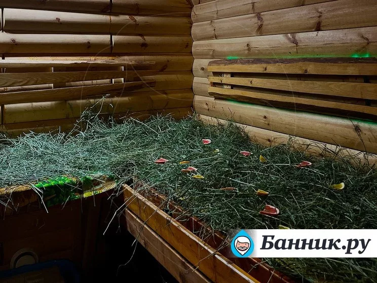 Русская баня «Верная баня»